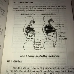 Để thành công trong nghệ thuật ca hát 996386