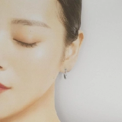 PT900 Bông tai kim cương 0.34CT - Hàng hiệu Authentic 862268