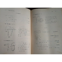 Cây cỏ miền nam Việt Nam - Phạm Hoàng Hộ ( trọn bộ 2 tập ) 128641