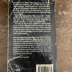 Staden Som Forsvann 786866