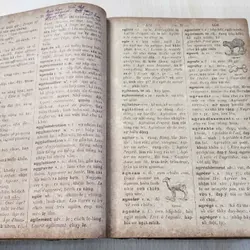 PETIT DICTIONNAIRE FRANCAIS - ANNAMITE
par J.-B.-P TRƯƠNG - VĨNH - KÝ
 1920 562054