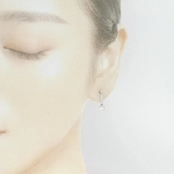 PT900 Bông tai kim cương 0.60CT - Hàng hiệu Chính hãng 871485