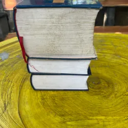 TỪ ĐIỂN ANH-VIỆT VIỆT ANH - BÙI PHỤNG- ENGLISH-VIETNAMESE-VIETNAMESE-ENGLISH DICTIONARY 729174