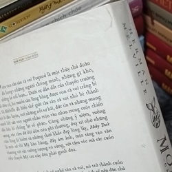 Cá voi trắng Moby Dick 508801