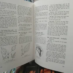 CÂY CỎ CÓ ÍCH Ở VIỆT NAM (TRỌN BỘ) - Võ Văn Chi 528968