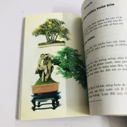KỸ THUẬT TRỒNG & TẠO DÁNG CÂY CẢNH 595095