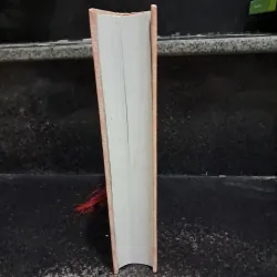 Hồng hạc cõi trời Nam- Vũ Bình Lục 1029551