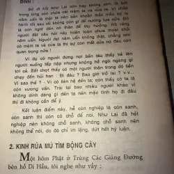 Nhặt Lá Bồ Đề 993758