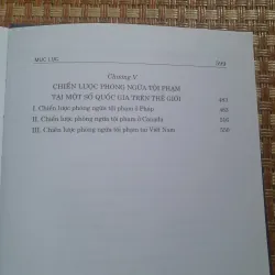 CHIẾN LƯỢC PHÒNG NGỪA TỘI PHẠM LÝ LUẬN VÀ ỨNG DỤNG 755815