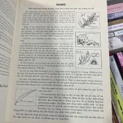 CÂY CÓ VỊ THUỐC Ở VIỆT NAM - PHẠM HOÀNG HỘ  1031526