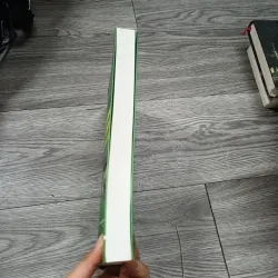 Tiền Sử Vùng Lòng Hồ Thủy Điện Hòa Bình Trên Địa Bàn Tỉnh Sơn La- Nguyễn Khắc Sử  782340