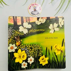 Set boardbook tiếng Hàn B34  1066253