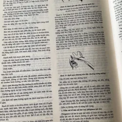 Bách khoa bệnh học 2 ; 500 trang khổ lớn  1019546