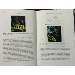 Fluorine in Pharmaceutical and Medicinal Chemistry