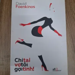 Chỉ tại vợ tôi gợi tình! - David Foenkinos - Tiểu thuyết / Văn học Pháp