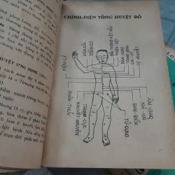 ĐIỂM HUYỆT CHÂN TRUYỀN ĐỒ GIẢI - NAM ANH 748349