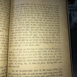 Người nói chuyện với động vật - Konrad Z Lorenz 928688