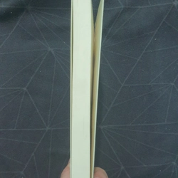 "Nếu gặp người ấy cho tôi gửi lời chào" - Ichikawa Takuji 498960
