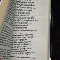 The Odyssey + The Iliad  996795