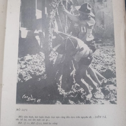 Bước đầu chụp ảnh  491335