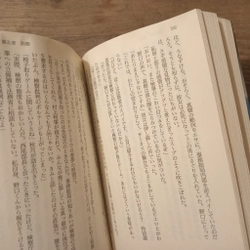 [Sách tiếng Nhật] 司法戦争 (Shihō Sensō) - tác giả 中嶋博行 (Nakajima Hiroyuki) 452076