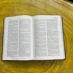 TỪ ĐIỂN TIẾNG VIỆT THÔNG DỤNG- NGUYỄN NHƯ Ý CHỦ BIÊN(2) 730990