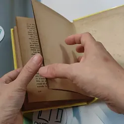 [MIỄN PHÍ BỌC SÁCH] La Petite Fadette - George Sand 749583