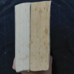 Combo "Mèo hoang" (2 tập) - Đinh Mặc 999792