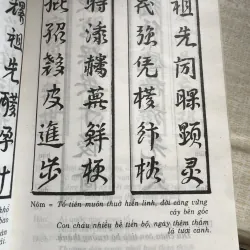 Câu đối Hoàng Phi thường dùng- Tân Việt-Thiểu Phong 968742