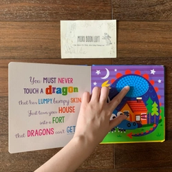 Sách ngoại văn Never Touch a Dragon – Sách sờ chạm, Used 542236