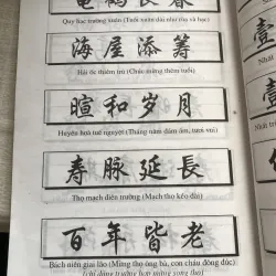 Câu đối Hoàng Phi thường dùng- Tân Việt-Thiểu Phong 968742