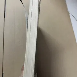 RED KAYAK tiếng anh 675538