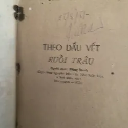 Ruồi Trâu- Theo Dấu Vết Ruồi Trâu  1030148
