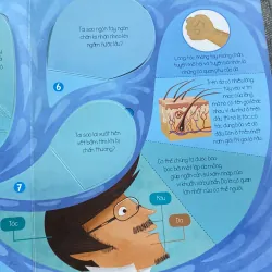 The human body cơ thể người 765876