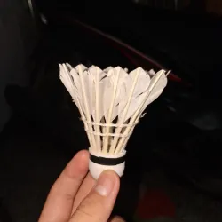 Cầu Lông Pando đã sử dụng