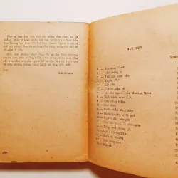 Bình Minh Mưa - K.Pauxtopxki. 748161