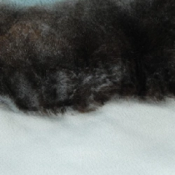 FENDI Khăn choàng Candy FVG480 4C1 - Hàng hiệu Chính hãng 833950