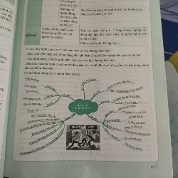 Sách luyện thi vào 10 môn Ngữ Văn theo chủ đề 11339