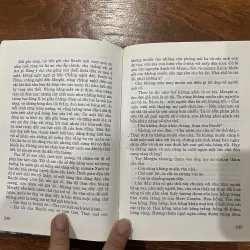 Tiếng chim hót trong bụi mận gai (14) 762301