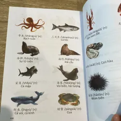 CÂU CHUYỆN CHỮ HÁN, THẾ GIỚI ĐỘNG VẬT, sách in màu minh họa đẹp 797838