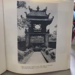 Album Việt Nam 992458