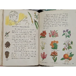 Science and Life 1001921