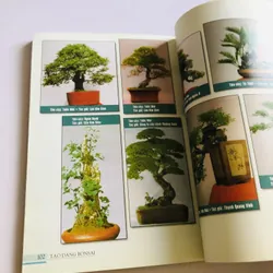 TẠO DÁNG BON SAI 719432