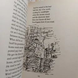 Sách Fatso in the Red Suit and Other Poems – Matthew Sweeney 751828