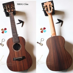 Ukulele Concert Andrew Cẩm Ấn M81G đầy đủ phụ kiện
