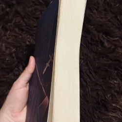 Crime and punishment 997955