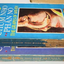Trọn bộ 2 tập VH Mỹ: CHÙM NHO PHẪN NỘ (John Steinbeck, Nobel Văn chương 1962) 788801