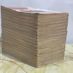 Cô bé tinh nghịch full 18t  606659