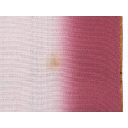 Tơ - Hàng hiệu Chính hãng 883395