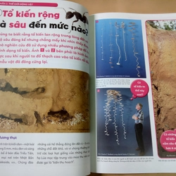 Từ điển hình ảnh trực quan - Trong lòng đất 532446